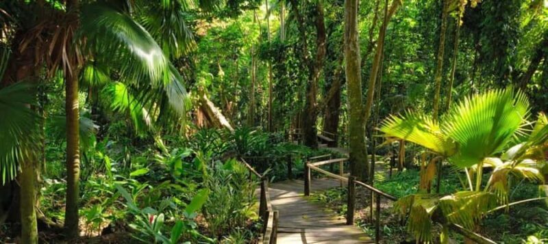 NADI: Exquisite Orchid Garden Tour with Hotspring & Mudpool - Introduction