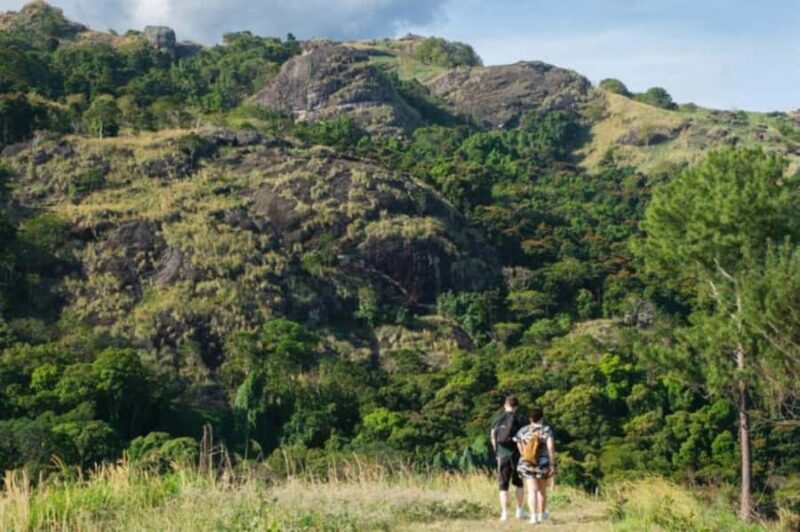NADI: Exquisite Orchid Garden Tour with Hotspring & Mudpool - Therapeutic Mud and Hot Springs