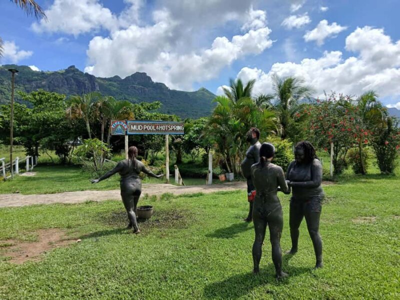 NADI: Exquisite Orchid Garden Tour with Hotspring & Mudpool - Who Is This Tour Best For?