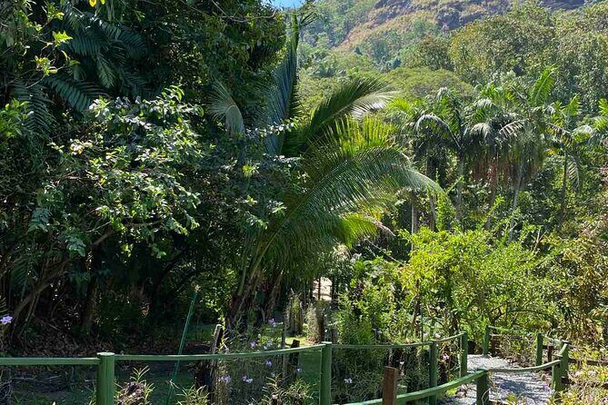 Nadi Fiji Historical Half Day Tour - A Deep Dive Into the Itinerary