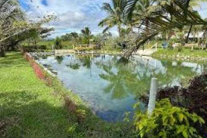 Nadi Full-Day Tour With Garden of the Sleeping Giant, Mud Pool  - Denarau Island - Booking and Reservation Details