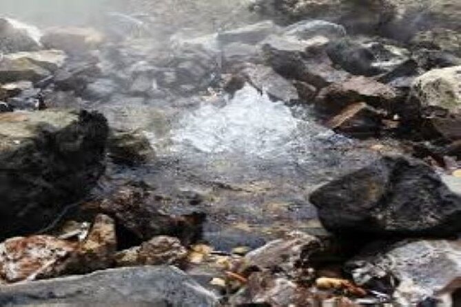 Nadi Full-Day Tour With Garden of the Sleeping Giant, Mud Pool  - Denarau Island - Reviews and Ratings