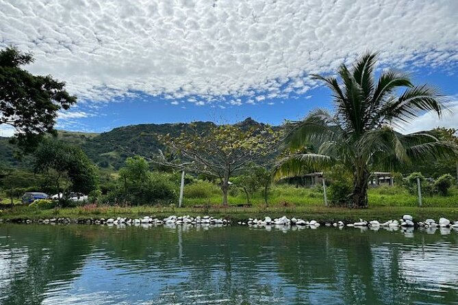Nadi Full-Day Tour With Garden of the Sleeping Giant, Mud Pool  - Denarau Island - Contact and Terms