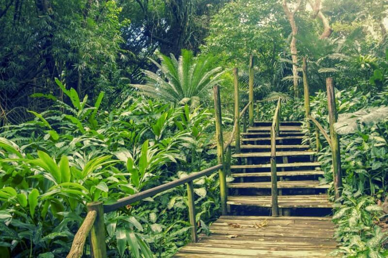 Nadi: Garden Village Hot Spring & Temple Highlights Tour - The Itinerary Breakdown: What to Expect on Your Day