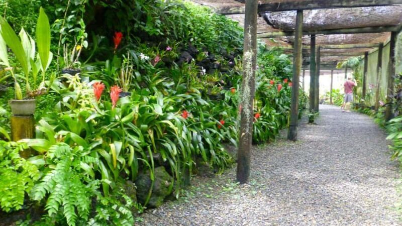 Nadi: Garden Village Hot Spring & Temple Highlights Tour - FAQ