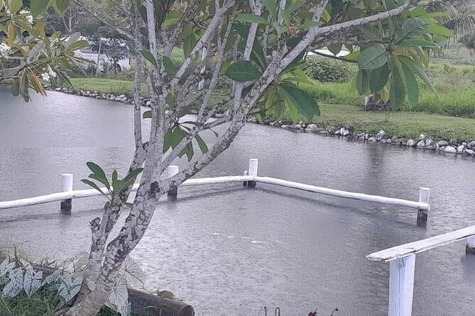 Nadi Guided Tour Plus Temple, Market, Garden, Mud Bath, Pickup - Inclusions and Flexibility