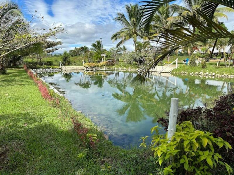 Nadi: Mud Pool and Hot Spring Private Tour - Good To Know
