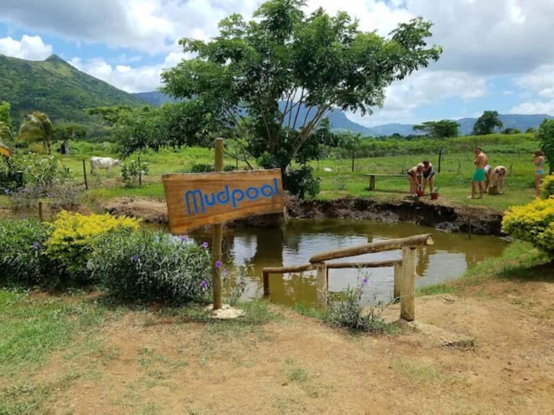 Nadi: Mud Pool and Hot Spring Private Tour - FAQ About the Mud Pool and Hot Spring Tour