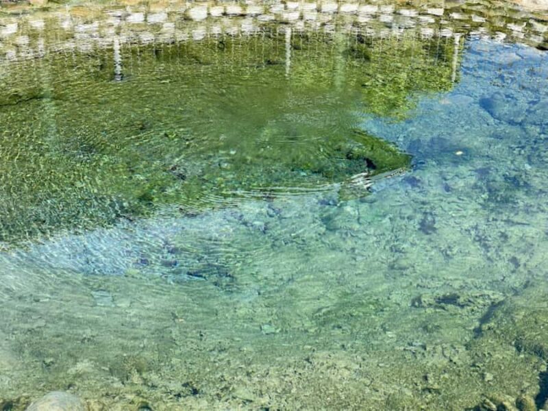 Nadi: Mud Pool and Hot Spring Private Tour - Concluding Thoughts