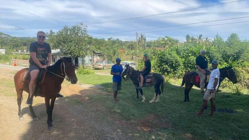 NADI: Nalesutale Village Full Day Tour - Final Thoughts