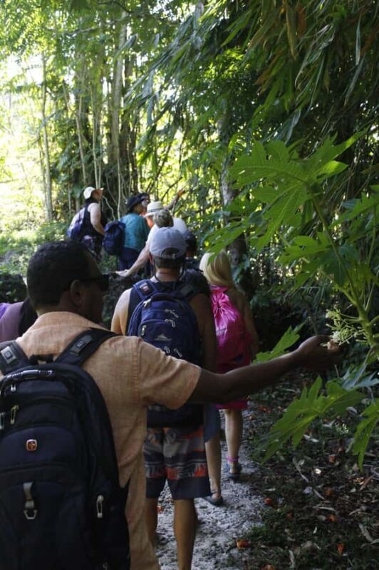 NADI: Nalesutale Village Half Day Tour - In The Sum Up