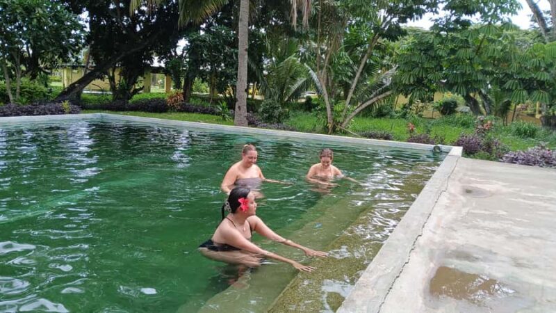 NADI: Sabeto Tifajek Mudpool & Hot Spring Tours & Tickets - Good To Know