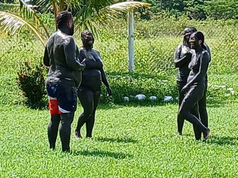 NADI: Sabeto Tifajek Mudpool & Hot Spring Tours & Tickets - Who Will Love This Experience?