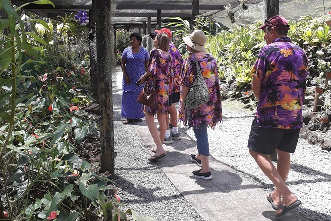 Nadi Sightseeing Including Viseisei Lookout, Village Tour, Garden & Temple Tour - Pricing and Terms & Conditions