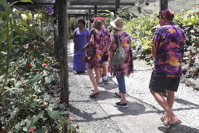 Nadi Sightseeing & Mud Pool Tour - Small-Group Tour