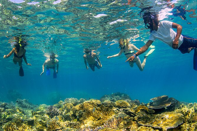 Nadi Small-Group 9-Day Island Hopping Tour  - Viti Levu - Common Questions