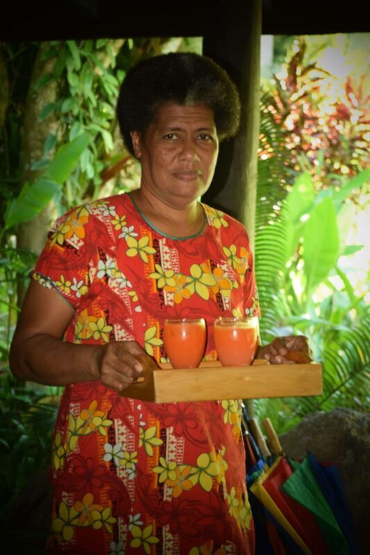 Nadi Therapeutic Mud Pools and Garden Tour in Fiji - What the price includes, and where it may vary