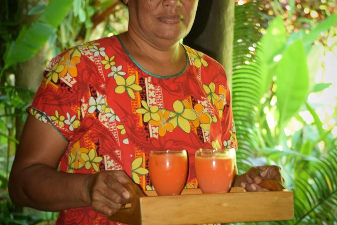 Nadi Therapeutic Mud Pools and Garden Tour - Shore Excursions EX PORT DENARAU - Booking Information