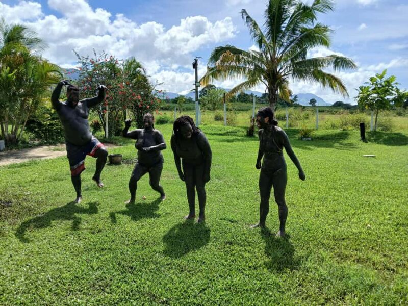 NADI: Tifajek Mud Pool and Hot Spring Natural Spa Tour - FAQs