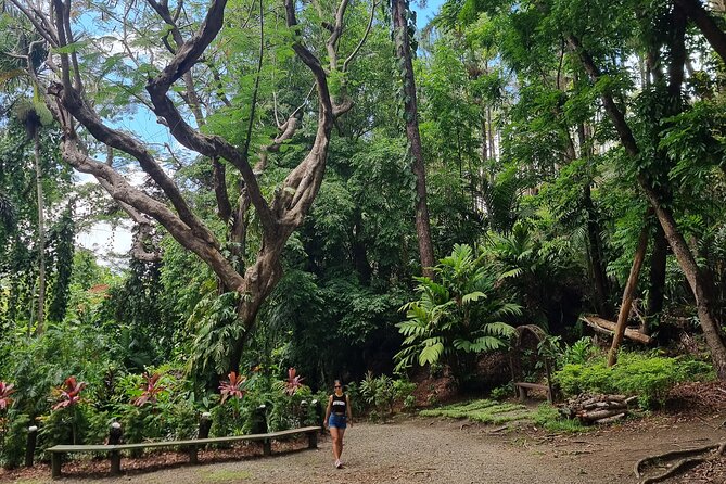Nadi Tour of Gardens N Village N Mudpool Excluding Entry Fee - Pricing and Guarantee