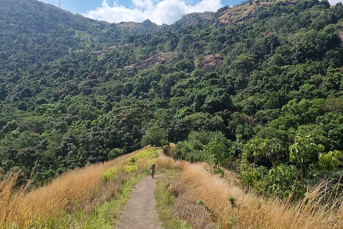 Nadi Tour of Gardens N Village N Mudpool Excluding Entry Fee - Date and Travelers