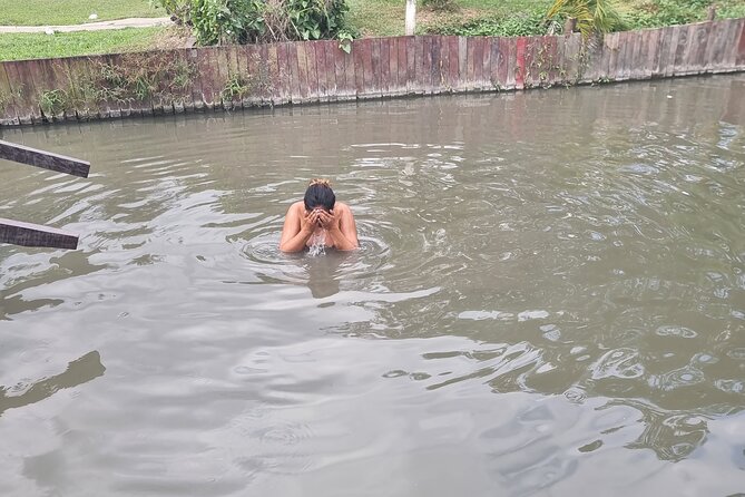 Nadi Tour of Gardens N Village N Mudpool Excluding Entry Fee - Directions