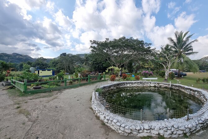 Nadi Tour of Gardens N Village N Mudpool Excluding Entry Fee - The Sum Up