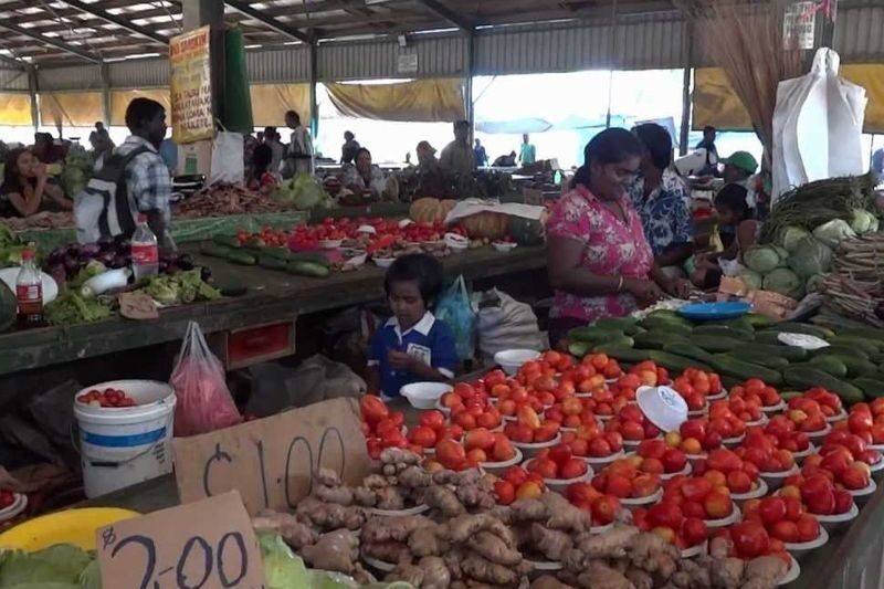 Nadi Wonders Tour in Fiji - Is the price fair for a half day?