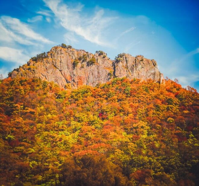 Naejangsan: Highlight of a Korean Autumn Day Trip From Busan - Highlights of Naejangsan