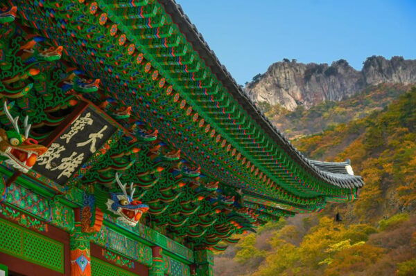 Naejangsan: Highlight of a Korean Autumn Day Trip From Busan - Activities and Experiences