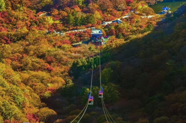 Naejangsan: Highlight of a Korean Autumn Day Trip From Busan - Transfer to Seoul