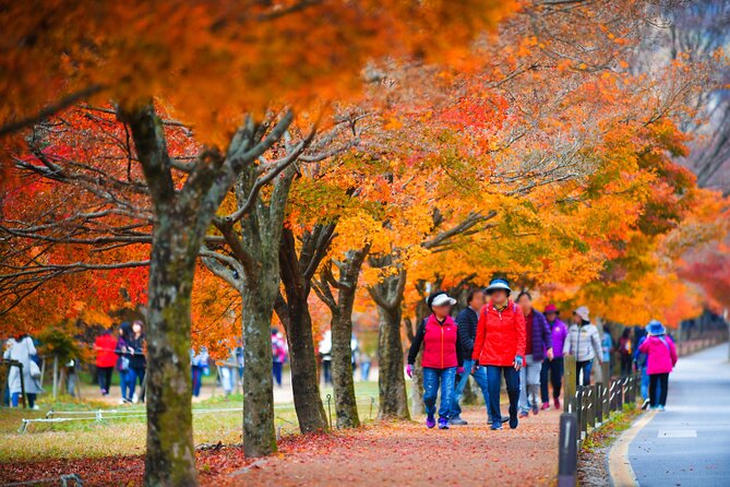 Naejangsan National Park Autumn Foliage Tour From Busan - Pricing and Duration