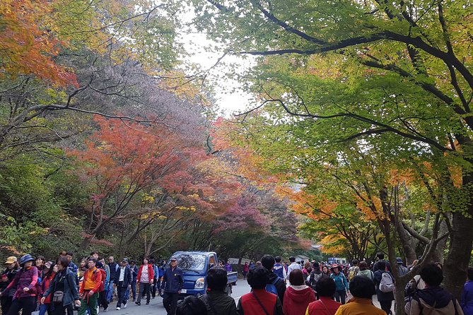 Naejangsan National Park Autumn Foliage Tour From Busan - Additional Information