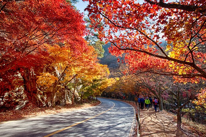 Naejangsan National Park Autumn Foliage Tour From Busan - Cancellation Policy