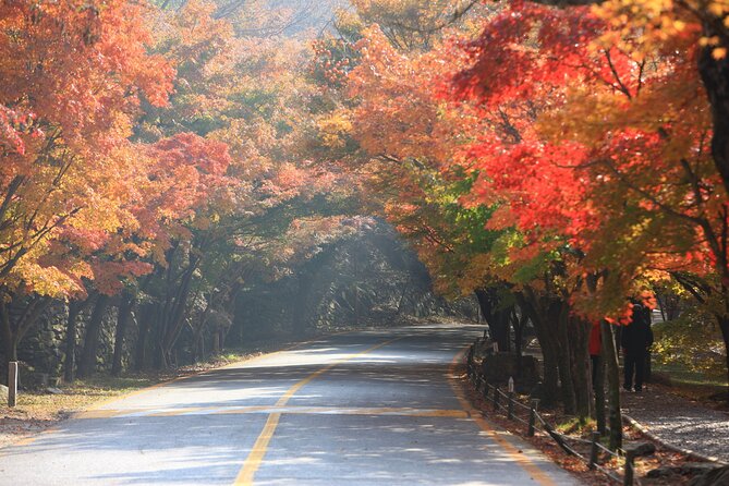 Naejangsan National Park Autumn Foliage Tour From Busan - Reviews