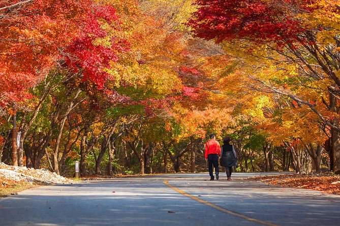 Naejangsan National Park Autumn Foliage Tour From Busan - Common Questions
