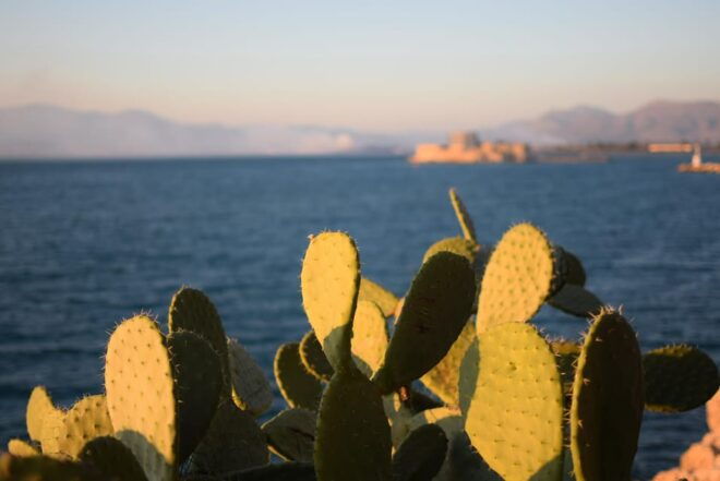 Nafplio: Private Walking Tour With a Local Tour Guide - Inclusions and Exclusions