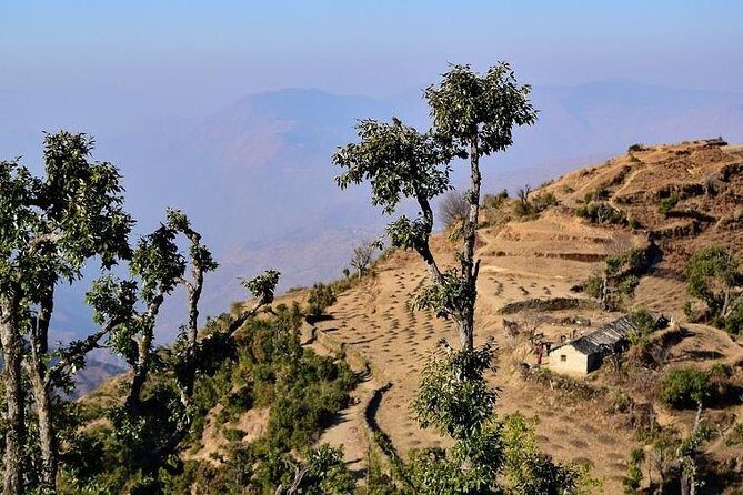 Nag Tibba 2 Days Trek (Pantwari to Pantwari) - FAQ