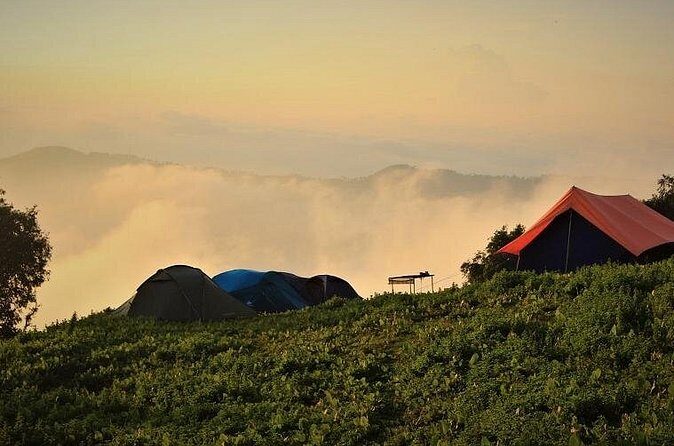 Nag Tibba 2 Days Trek (Pantwari to Pantwari) - FAQs
