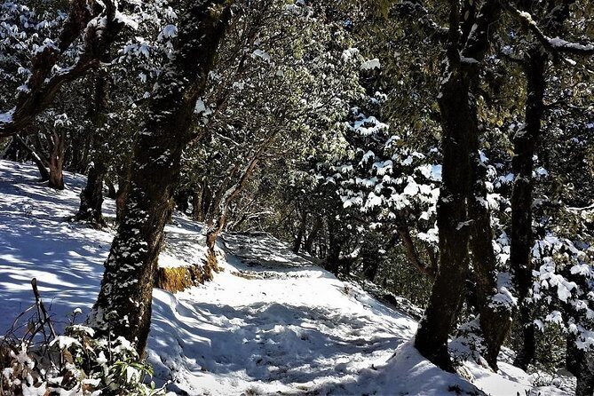 Nag Tibba 2 Days Trek (Pantwari to Pantwari) - Final Thoughts
