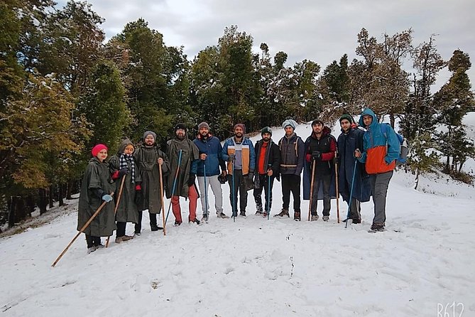 Nag Tibba Overnight Trek With Transfers From Dehradun (Feb ) - Tour Highlights