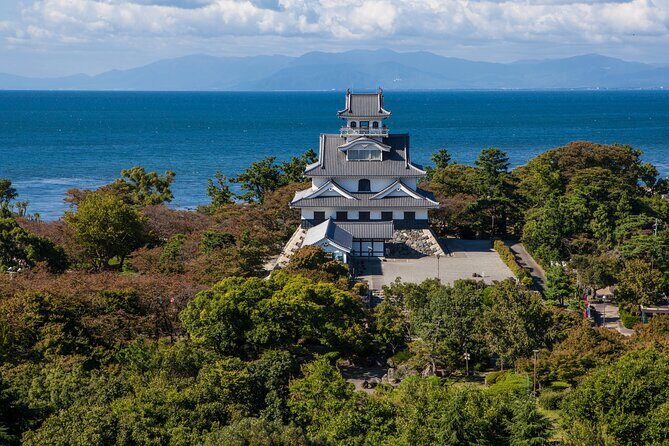 Nagahama Castle Town Half Day Walking Tour - A Deep Dive into the Nagahama Castle Town Half Day Walking Tour