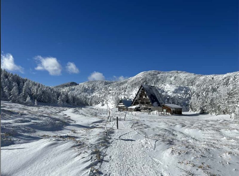 Nagano: 4-Hour Silent Snowshoe Tour + Onsen & Izakaya - Final Thoughts