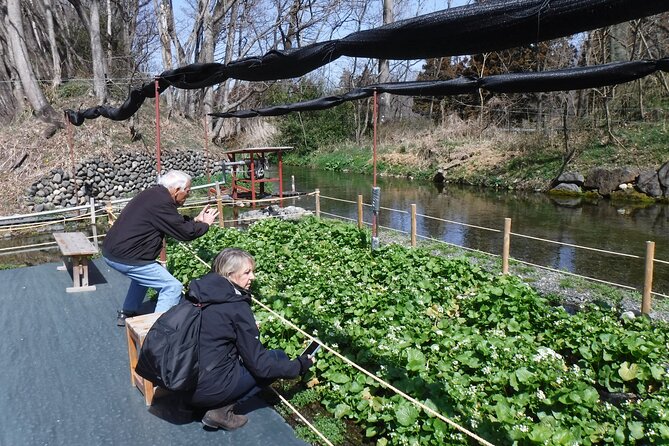 Nagano All Must-Sees Full Day Private Tour With Government-Licensed Guide - Government-Licensed Guide