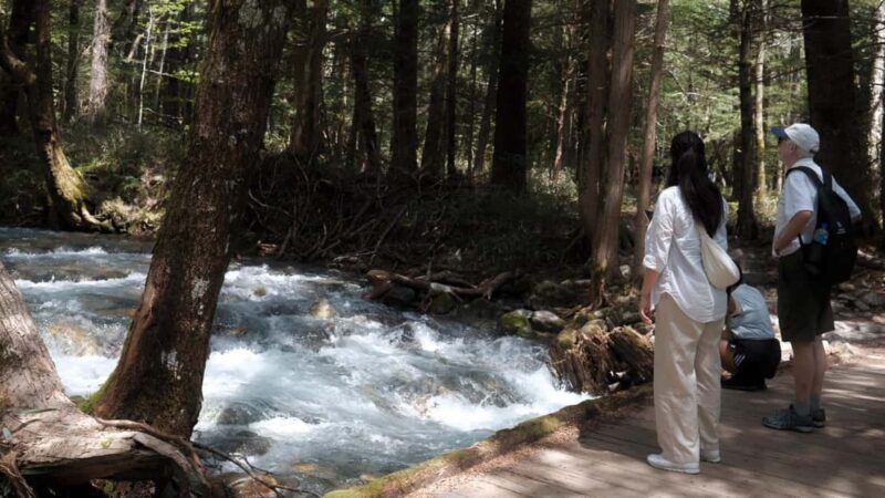 Nagano Autumn special: Kamikochi & Wasabi Farm & Winery - Who Is This Tour Best For?