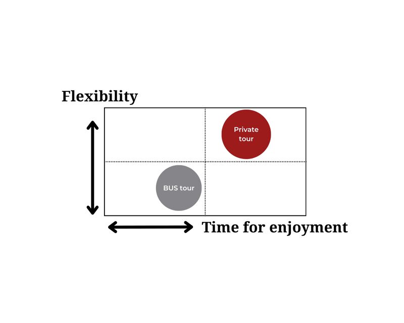 Nagano: Cute & Eccentric Snow Monkeys Half-Day Private Tour - The Sum Up