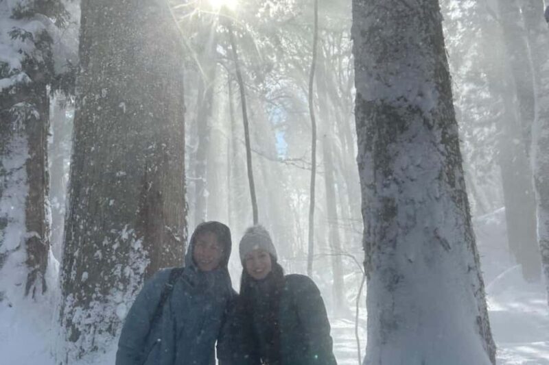 Nagano: Half-Day Private Tour Togakushi Shrine - Pricing and Value