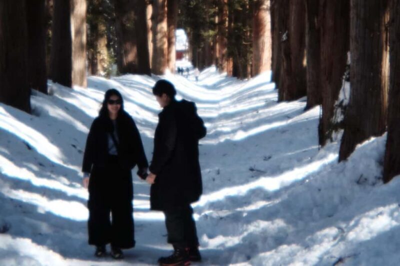 Nagano: Half-Day Private Tour Togakushi Shrine - Authentic Experiences That Outshine the Crowds