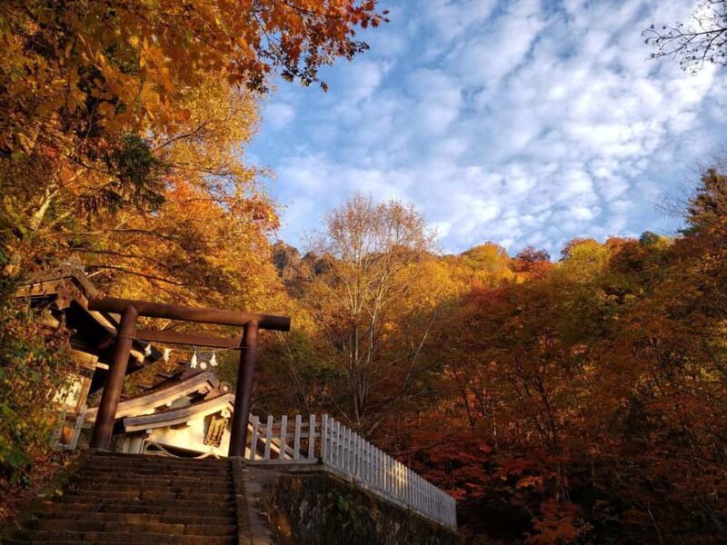 Nagano: Half-Day Private Tour Togakushi Shrine - FAQ