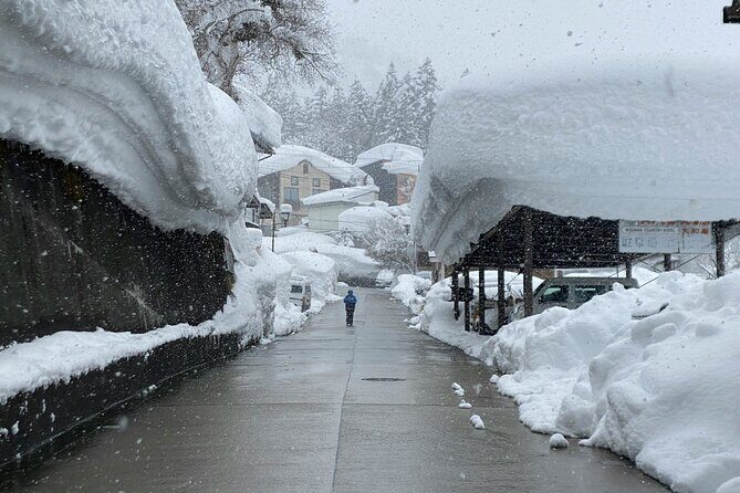Nagano Highlights Snow Monkeys Nozawa Onsen and Zenkoji Temple - Practical Details and Tips